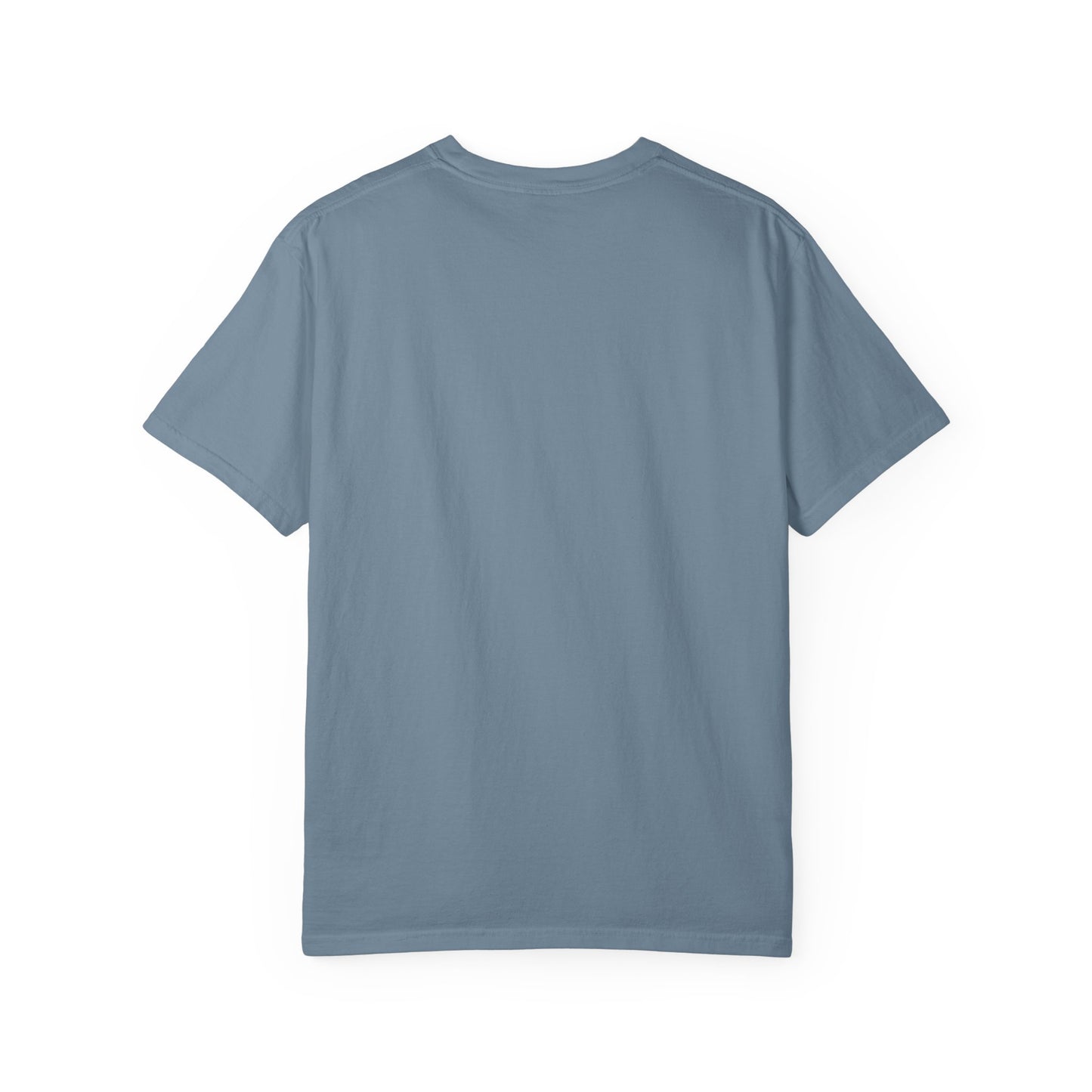 Humorous Graphic Tee, Unisex Top, Casual Wear, Cool Gift for Friends, Everyday Wardrobe Essential, Birthday Surprise